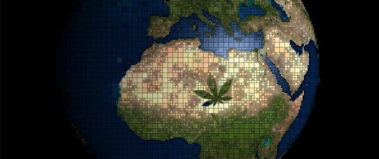 best countries to invest cannabis stocks- prop 64