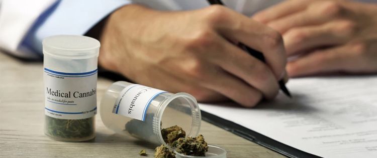 Doctor prescribing medical cannabis