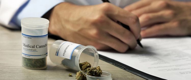 prescribe medical marijuana- marijuana for seniors