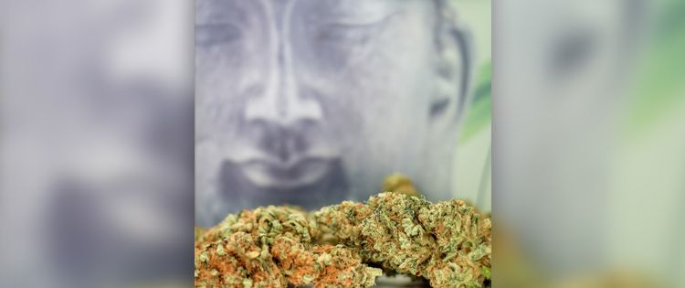 The Art and Science of Ganja Yoga