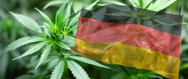 Cannabis in Germany