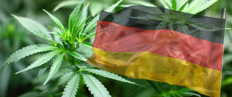 Cannabis law reform in Germany