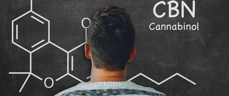 What is CBN or Cannabinol