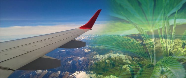How to Get Marijuana While Travelling Abroad -Don't Be Embarrassed To Ask