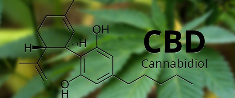 What is Cannabidiol CBD? Is CBD oil legal?