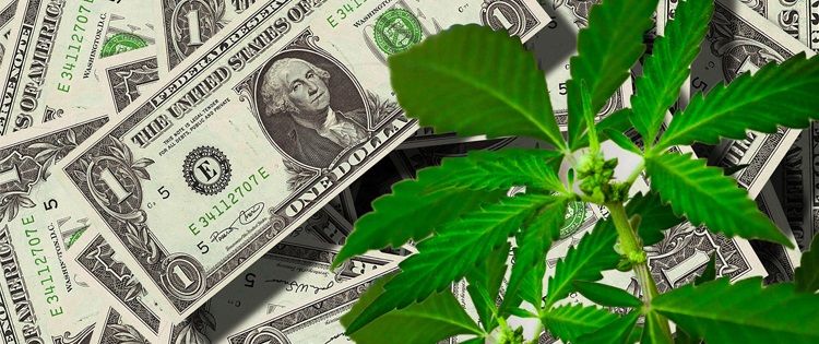 Cannabis banking