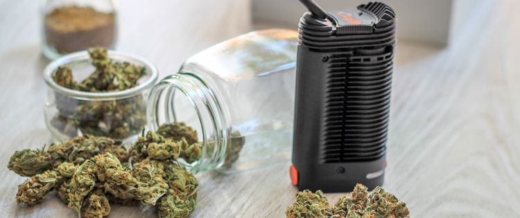 How you can benefit from Vaping Cannabis with Common Herbs