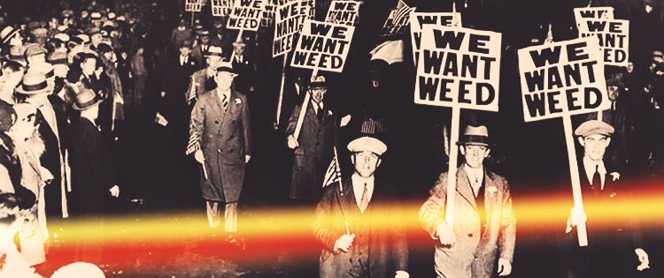 1930s- Marijuana is Taxed and Scheduled as a Dangerous Drug- marijuana legalization movement