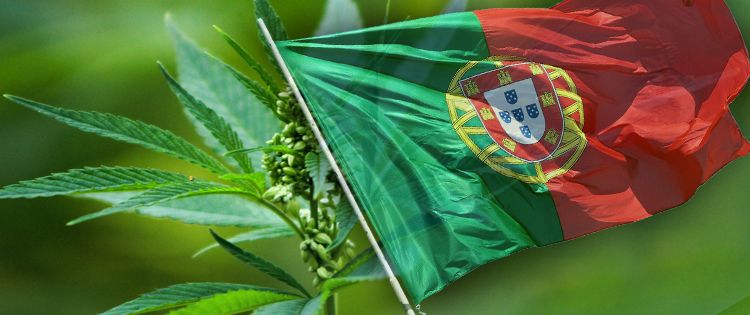 Cannabis Law in Portugal