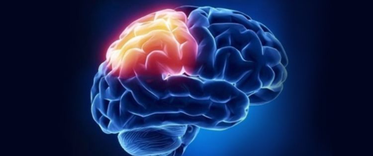 Cannabis can treat Traumatic Brain Injury