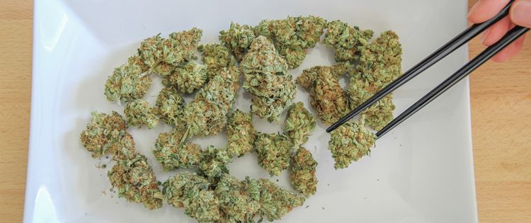 cannabis edibles overdose
