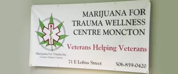 Marijuana for Trauma Signage