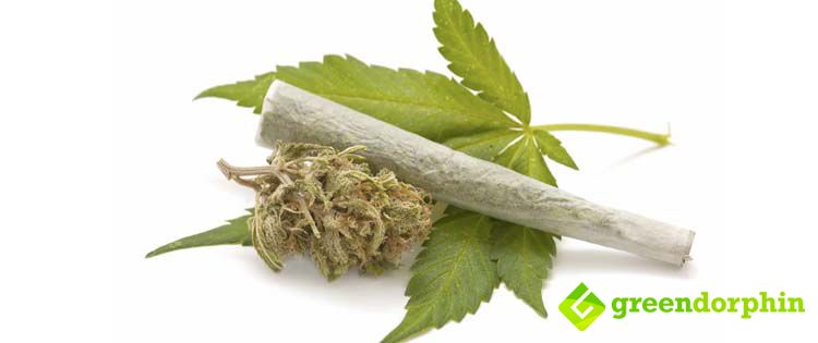 Decriminalization of Cannabis for personal use (up to 15 grams) in Israel