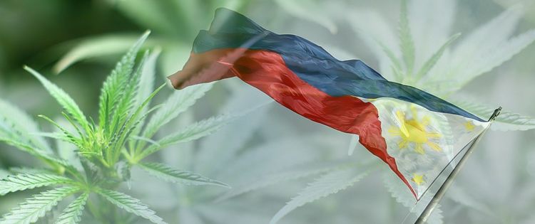 Cannabis in the Philippines