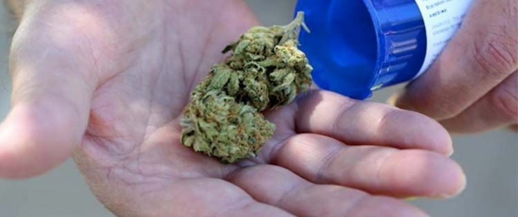 marijuana delivery scam-marijuana kief