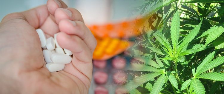 prescription medication drop in medical marijuana states