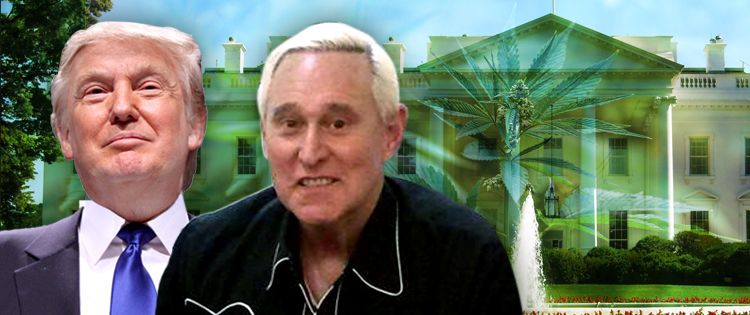 Roger Stone Reminds President Trump on His Promise on Cannabis