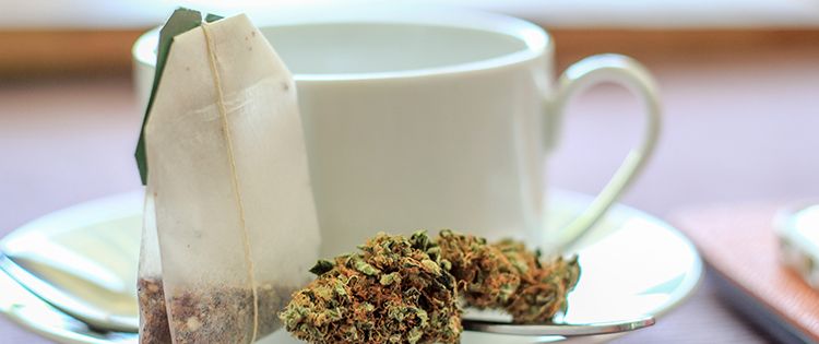 marijuana tea / hemp tea