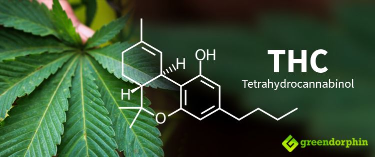 difference between THC and CBD