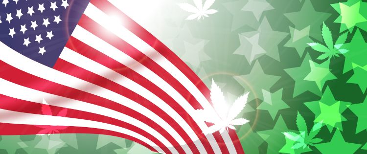 American marijuana law reform movement