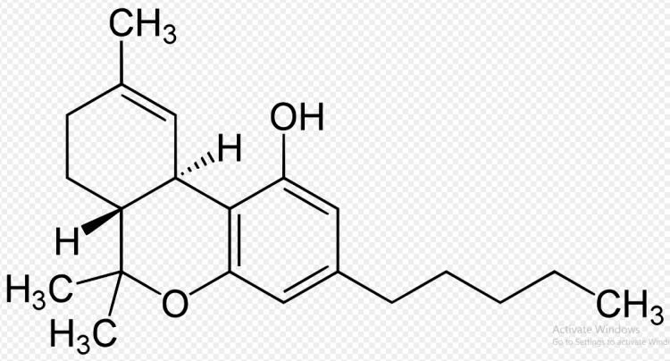 Synthetic Dronabinol (THC)