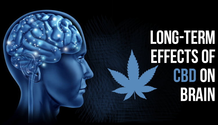 Understanding CBD Interactions and Why CBD and Your Brain Can Be Best Friends