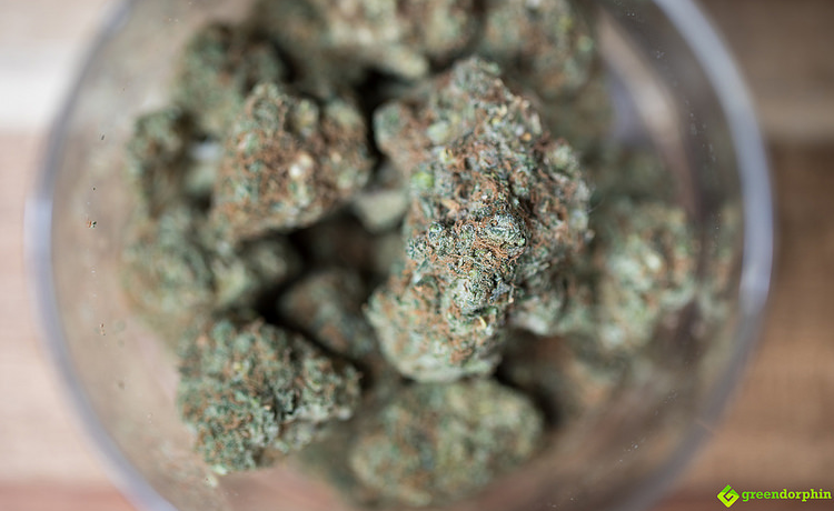 Cannabis flowers in a glass jar