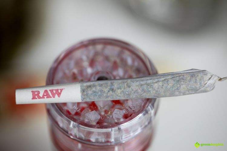 Top 10: Ways to Consume Your Cannabis - joint/spliff