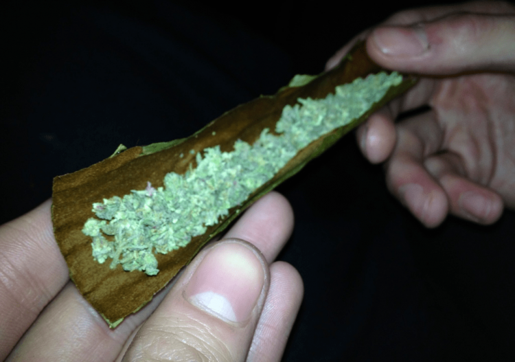 Top 10: Ways to Consume Your Cannabis - blunts