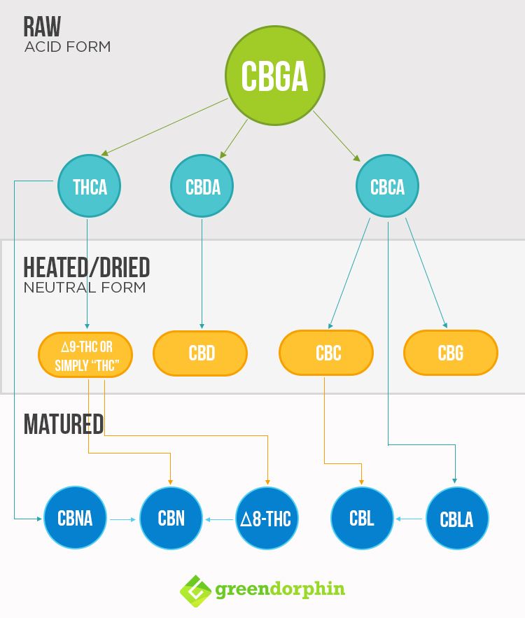 cannabis form chart