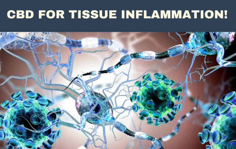 CBD Helpful for tissue inflammation