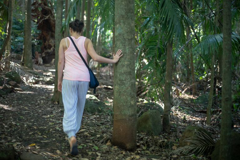 Forest Bathing touching a tree