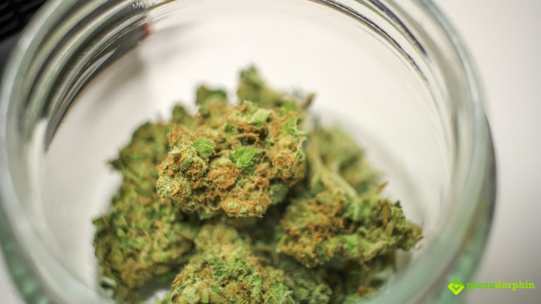 Does Marijuana Expire?