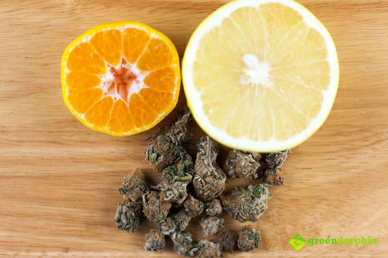 cannabis with citruses