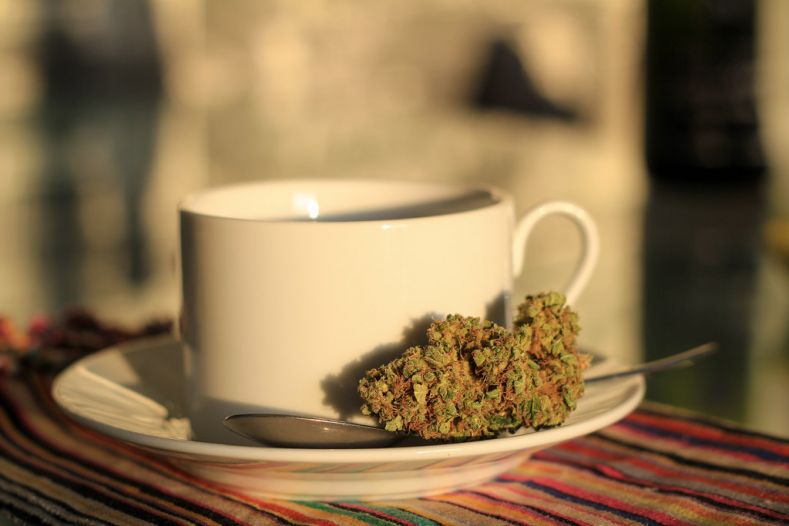 cannabis tea