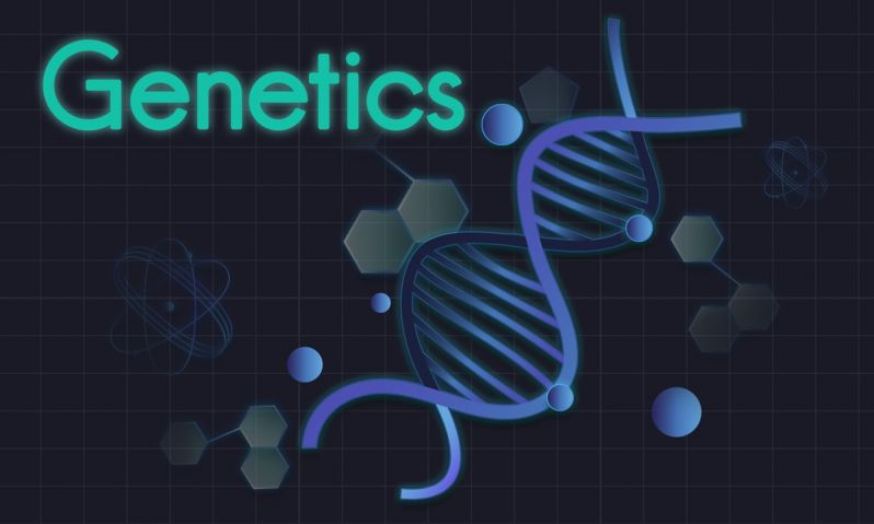 How DNA Plays a Role in the Effectiveness of Cannabis Oil for Cancer