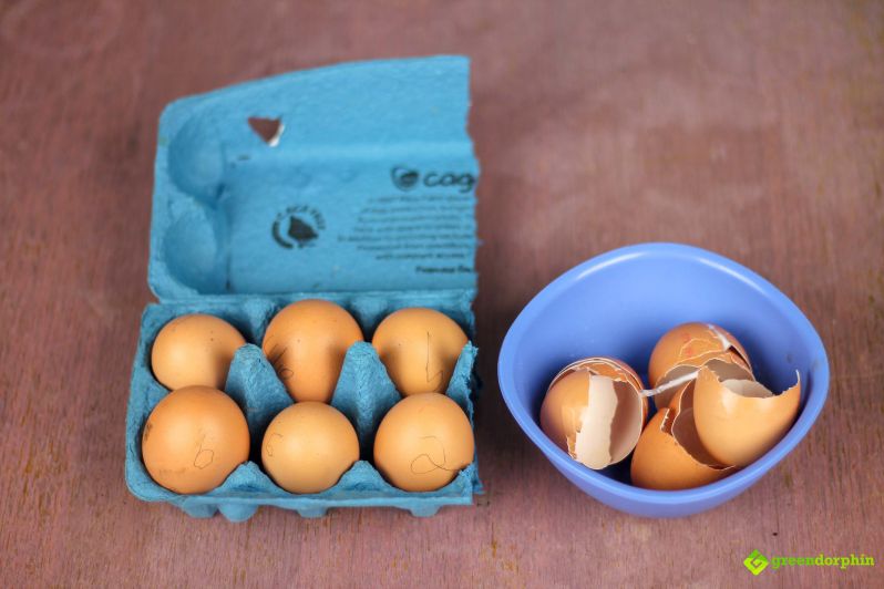 Grow organic weed egg shells