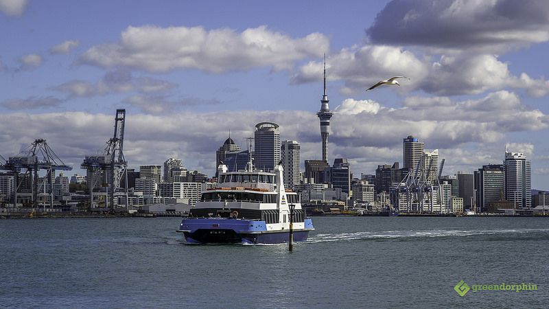Auckland, New Zealand - 2020 New Zealand Cannabis Referendum