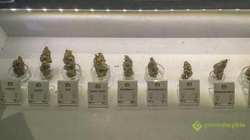 better cannabis cultivation