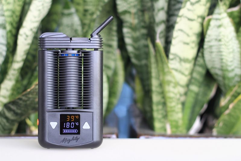 Storz & Bickel Mighty Portable Vaporizer