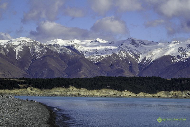 cannabis-in-new-zealand