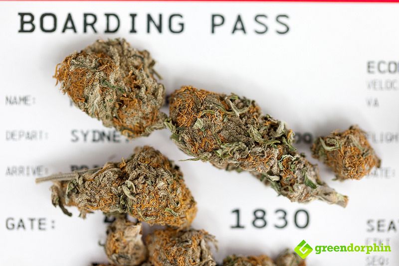 Traveling and boarding with Cannabis