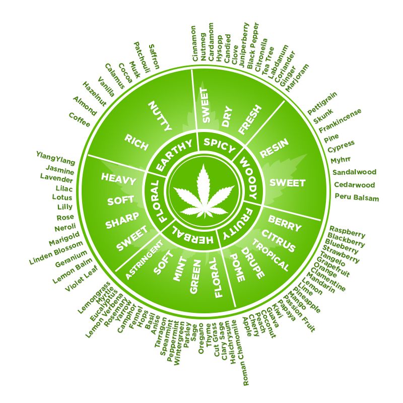 terpene wheel