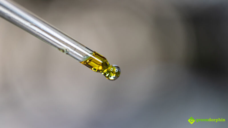 CBD oil - Effective way of Consuming CBD